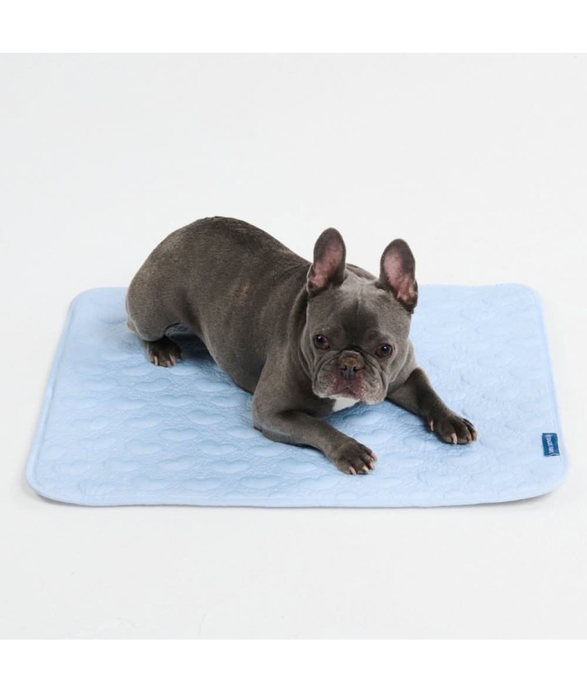 SparkPaws Frostcore Cooling Mat