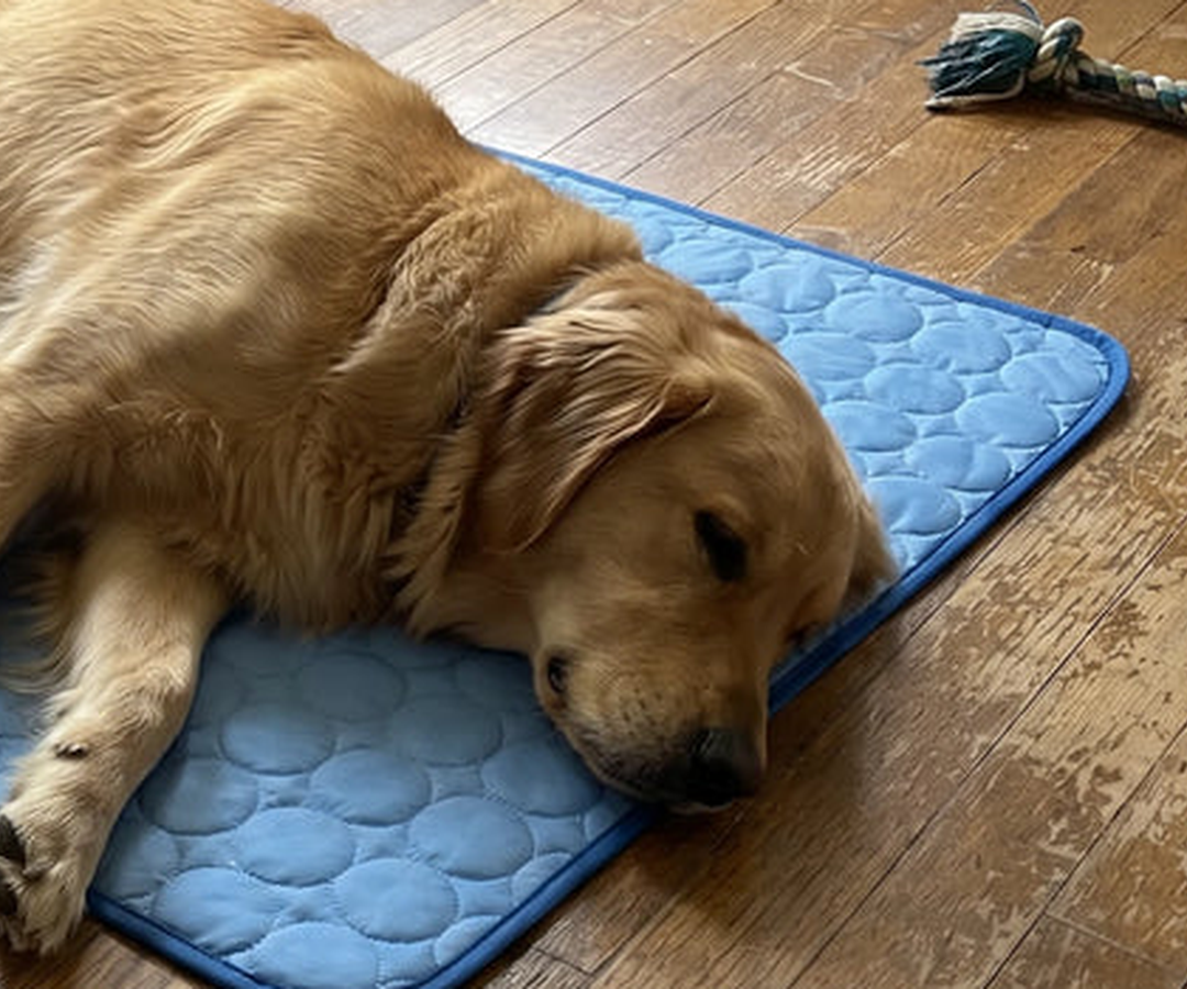 A Cooling Method That's Actually Safe