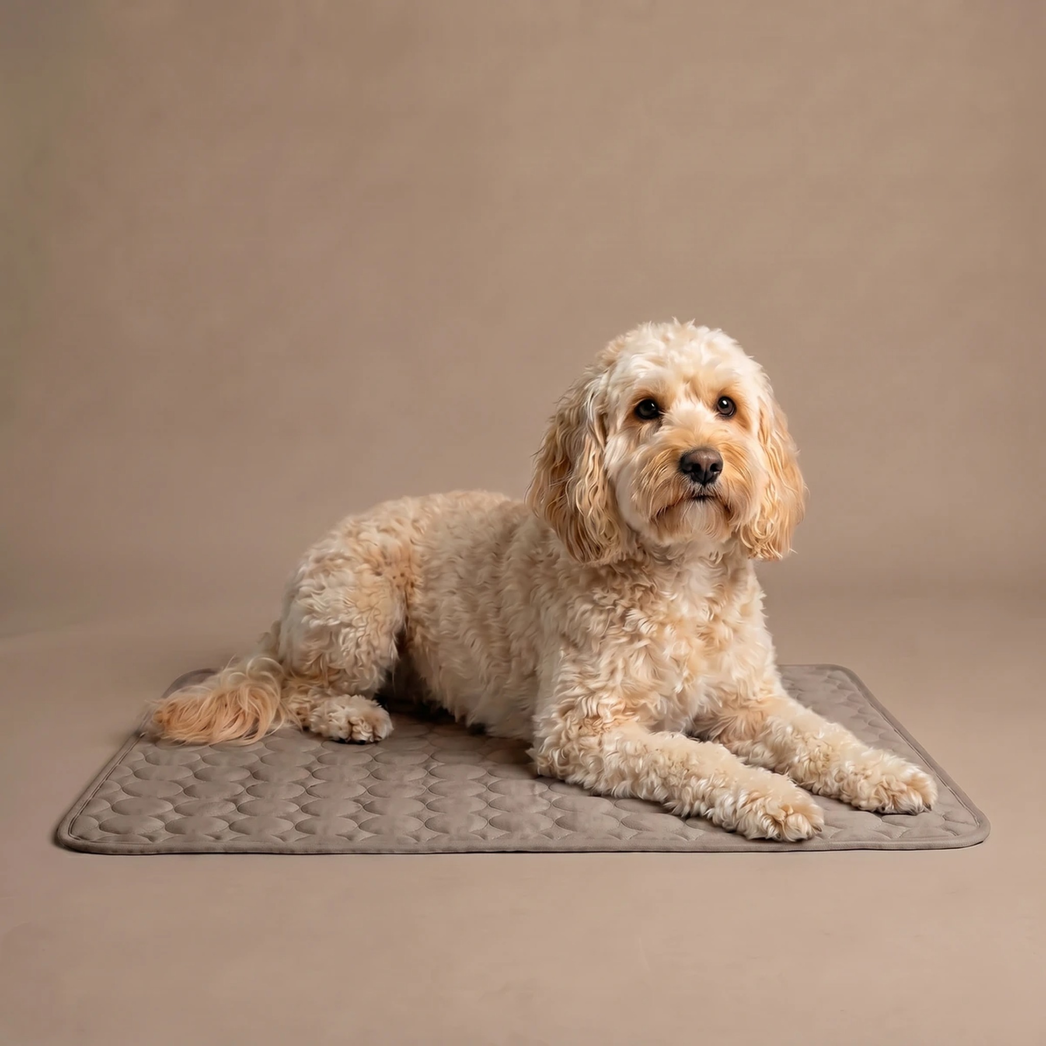 ChillPaws Cooling Mat