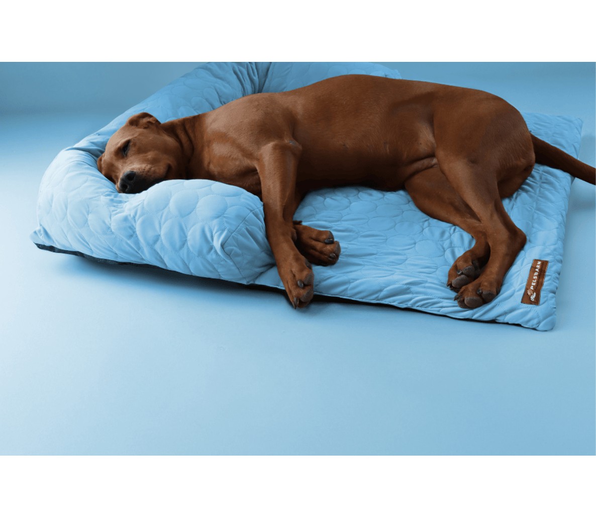 Pelsbarn Cooling Sofa Bed